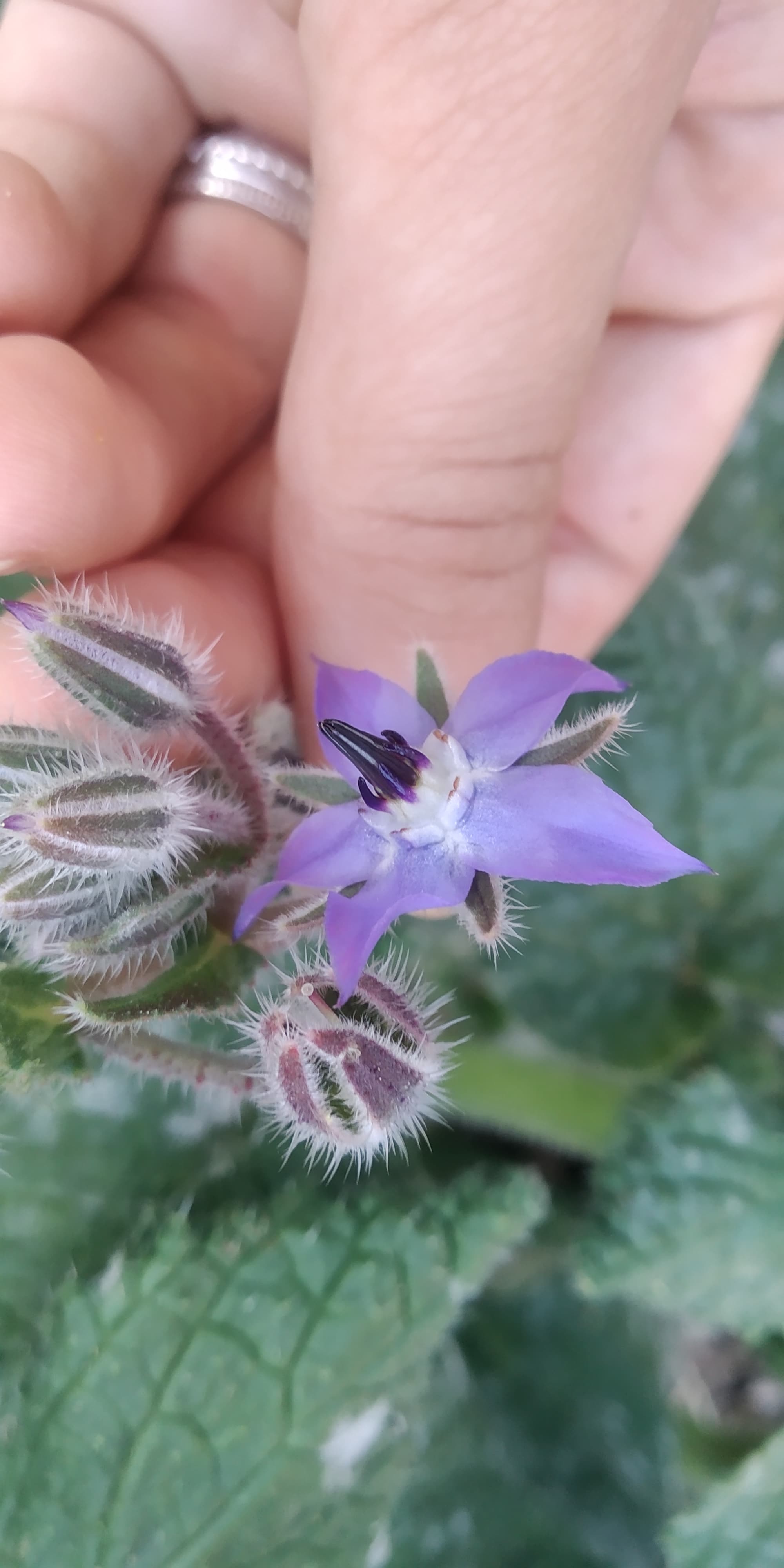 Annexe 92229984_549513885701308_375500014207631360_n-1.jpg