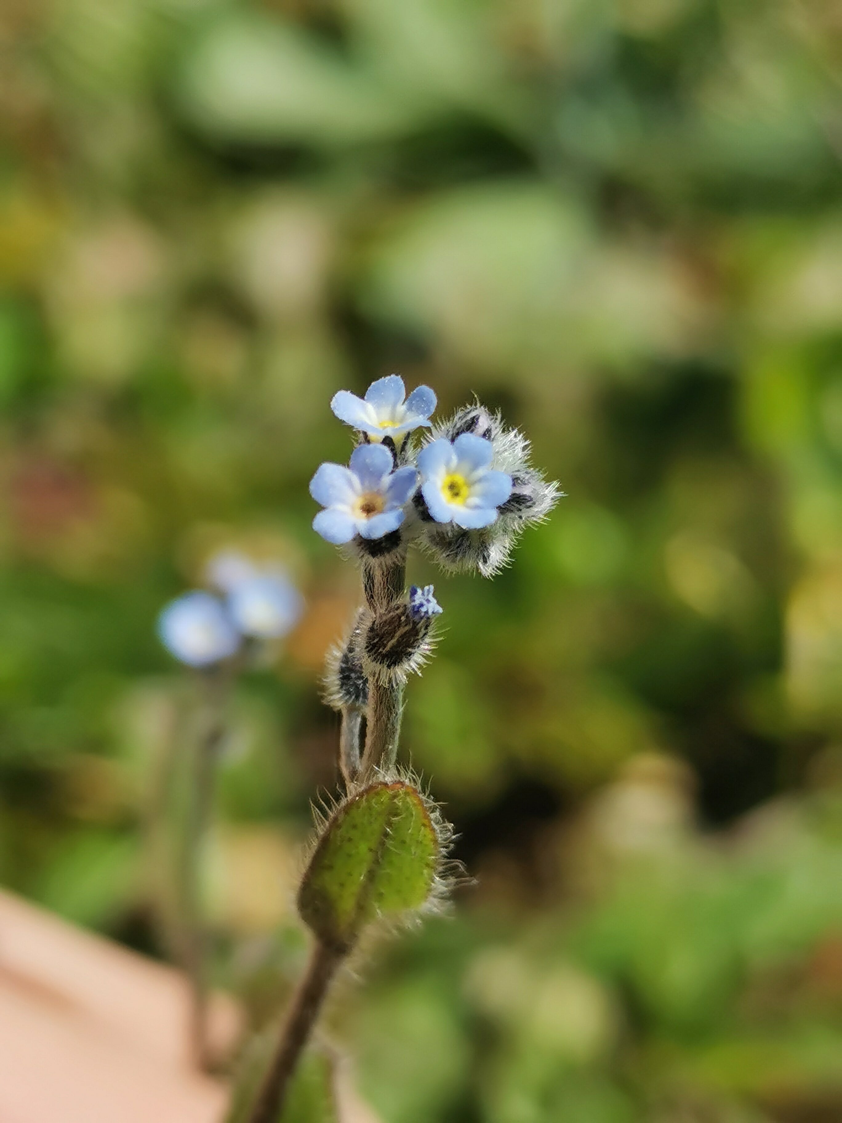 Annexe IMG_20200406_140814.jpg