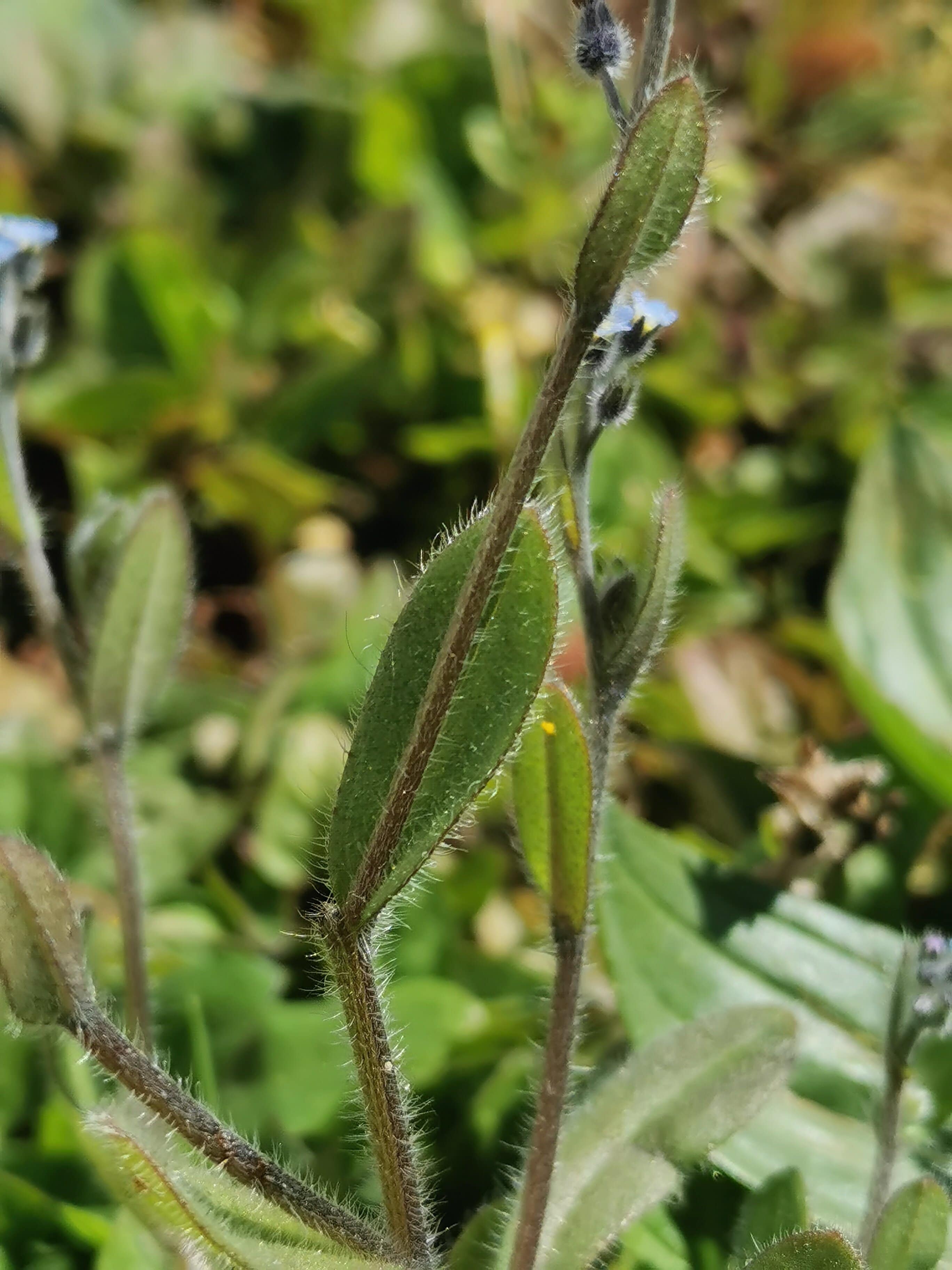 Annexe IMG_20200406_140847.jpg