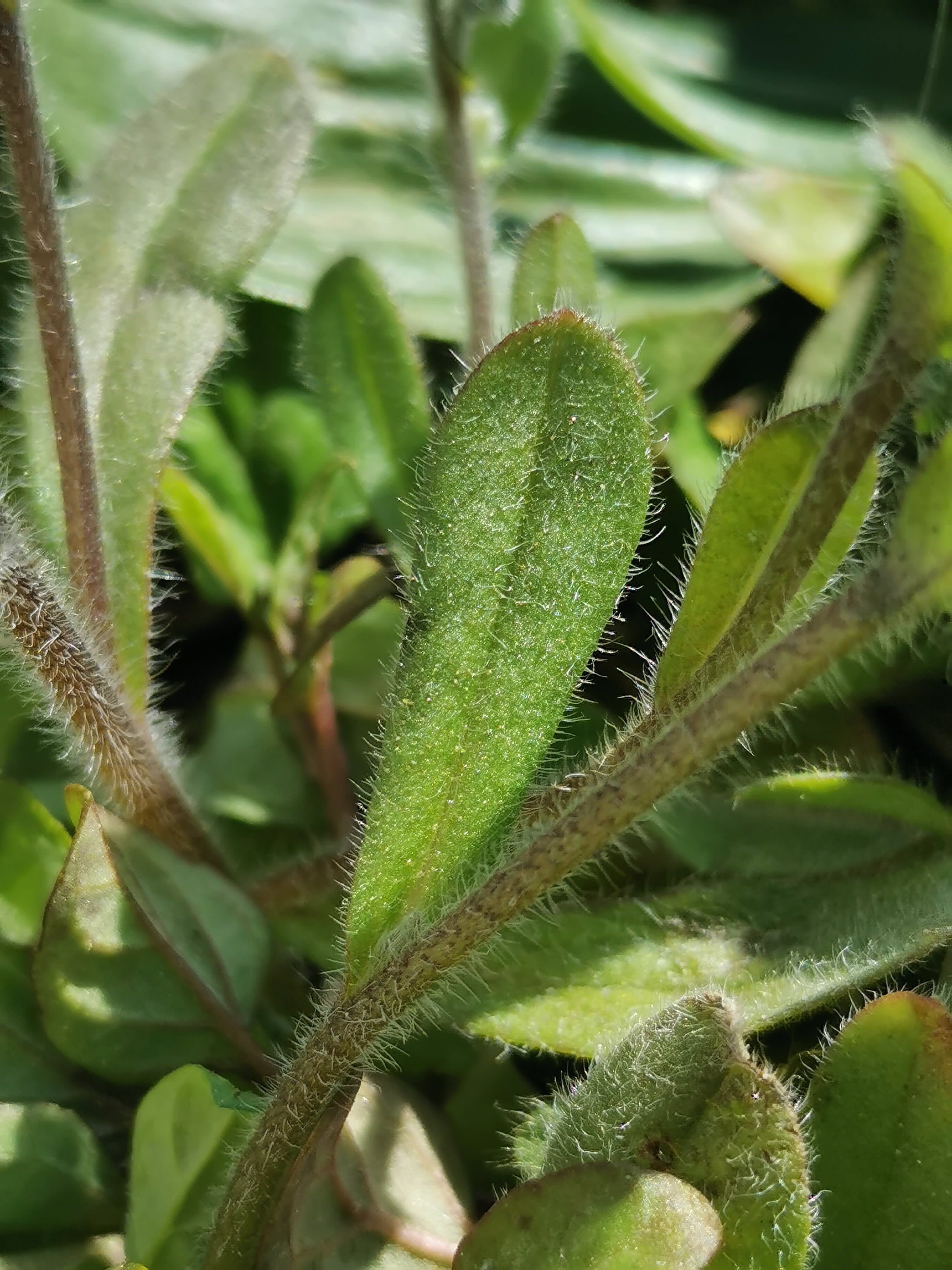 Annexe IMG_20200406_140856.jpg