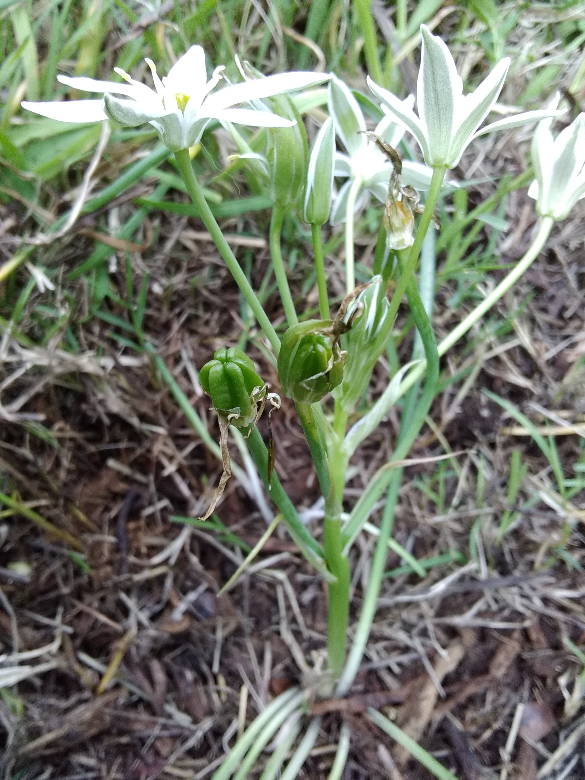 Annexe IMG_20200402_142626.jpg