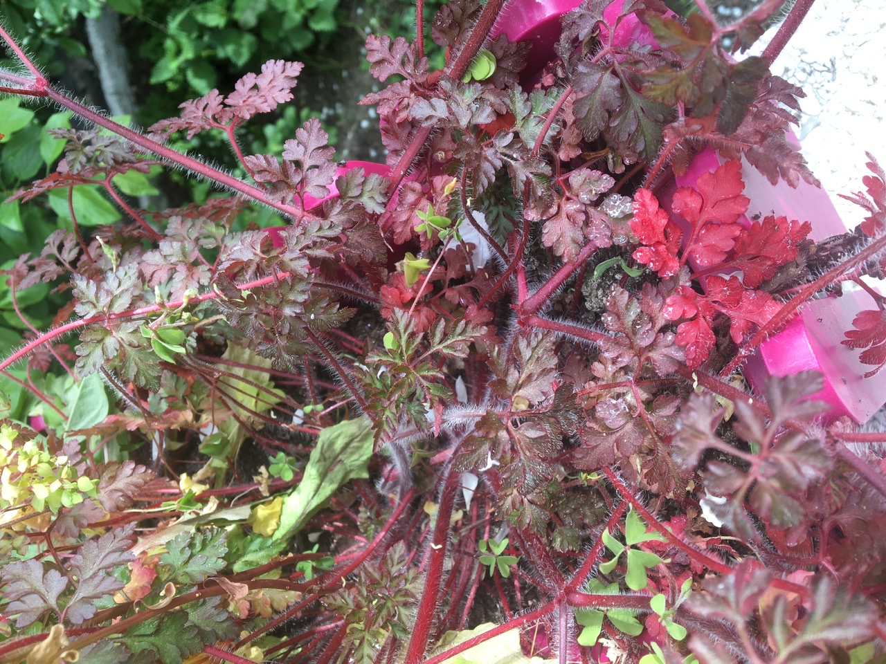 Annexe L’environnement .jpeg