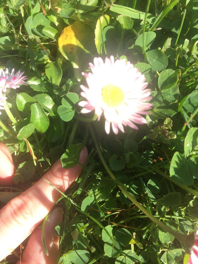 Annexe 92580754_611070532954474_5413069290284777472_n.jpg