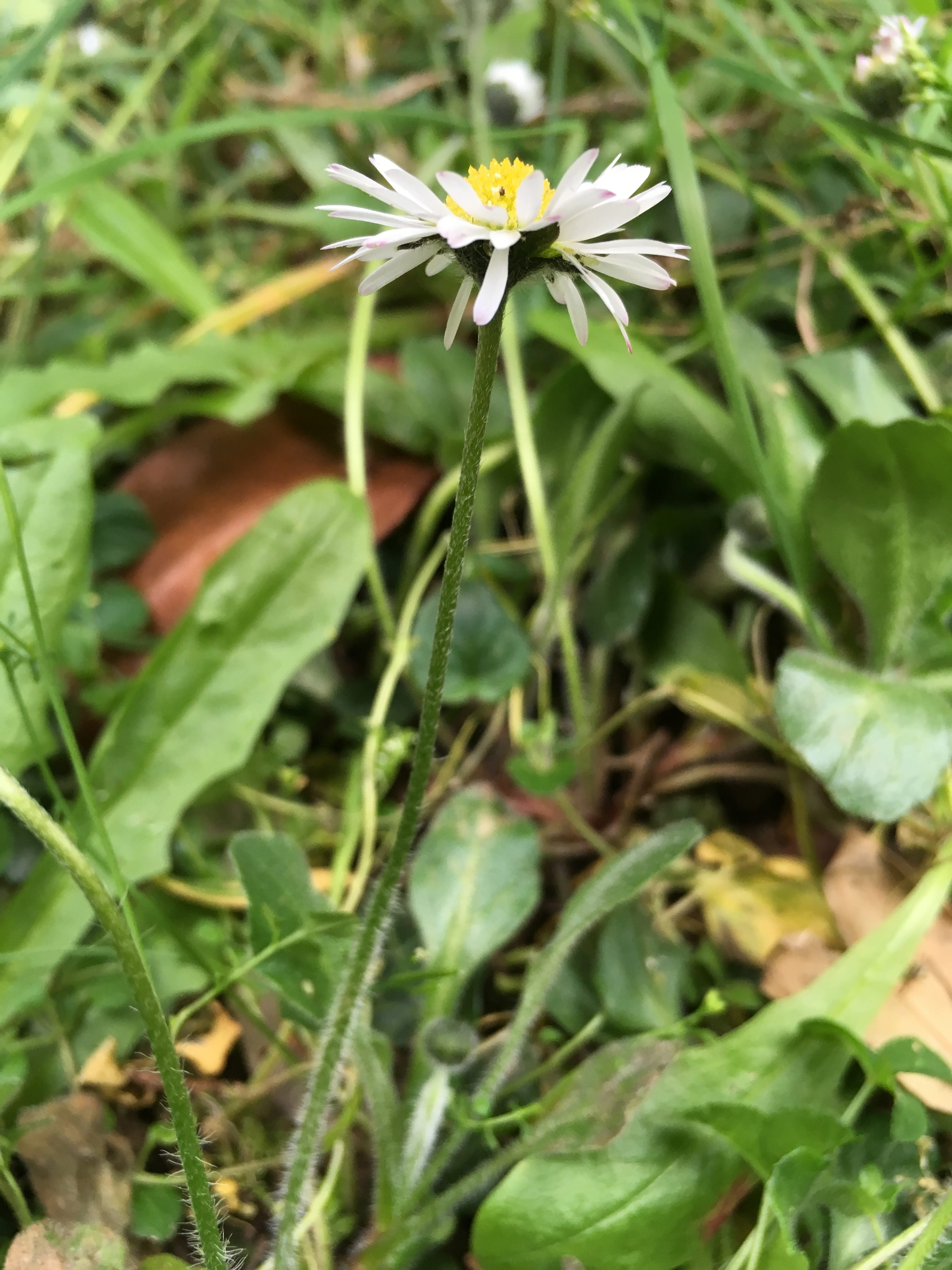 Annexe IMG_7095-min.JPG