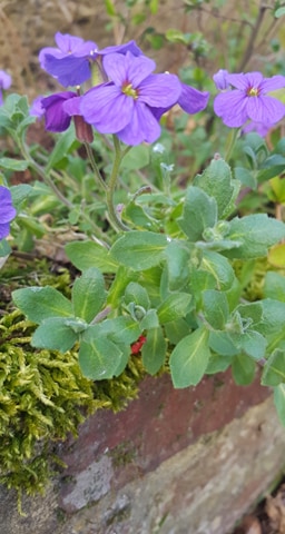 Annexe 92788002_1923556271109990_6229110078637604864_n.jpg