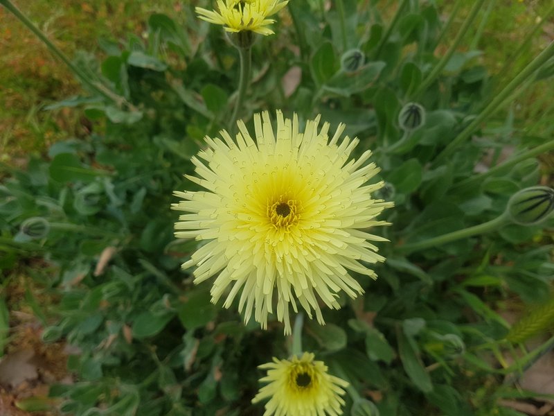 Annexe 1-20200329_171640.jpg