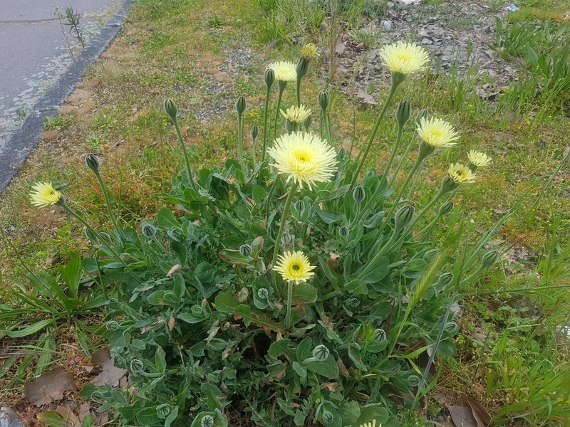 Annexe 20200329_171634.jpg