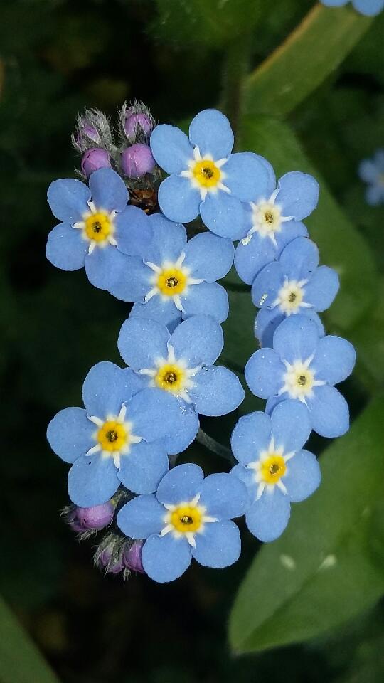 Annexe 20200407_153258.jpg