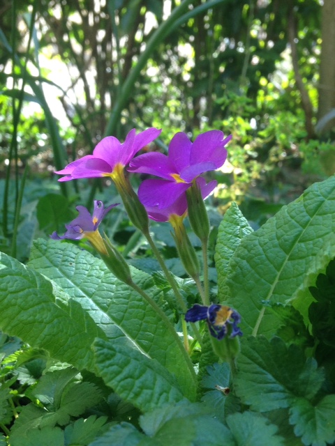 Annexe image3 (1).JPG