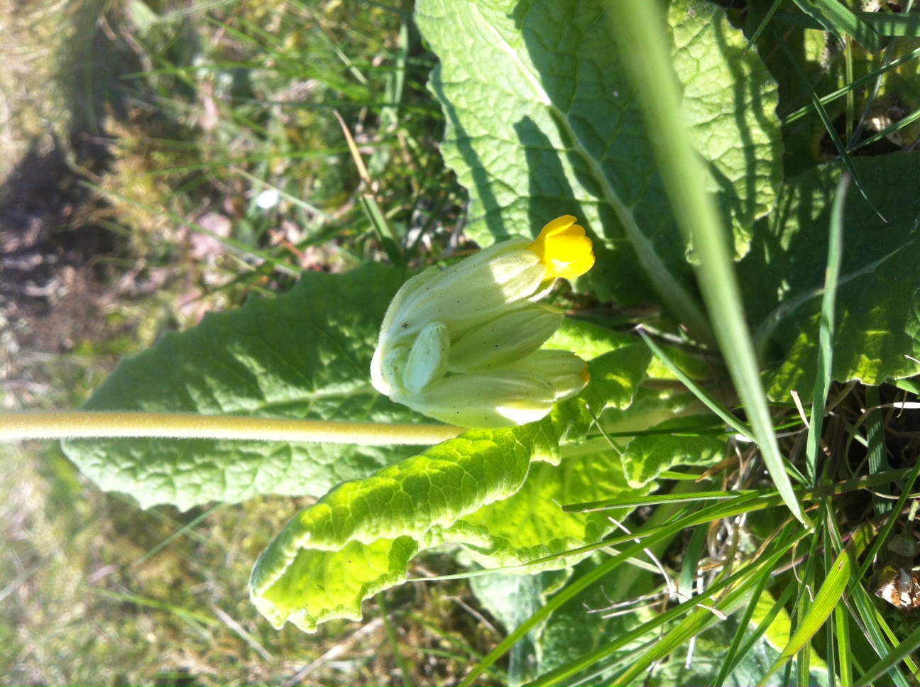 Annexe image (1).jpeg