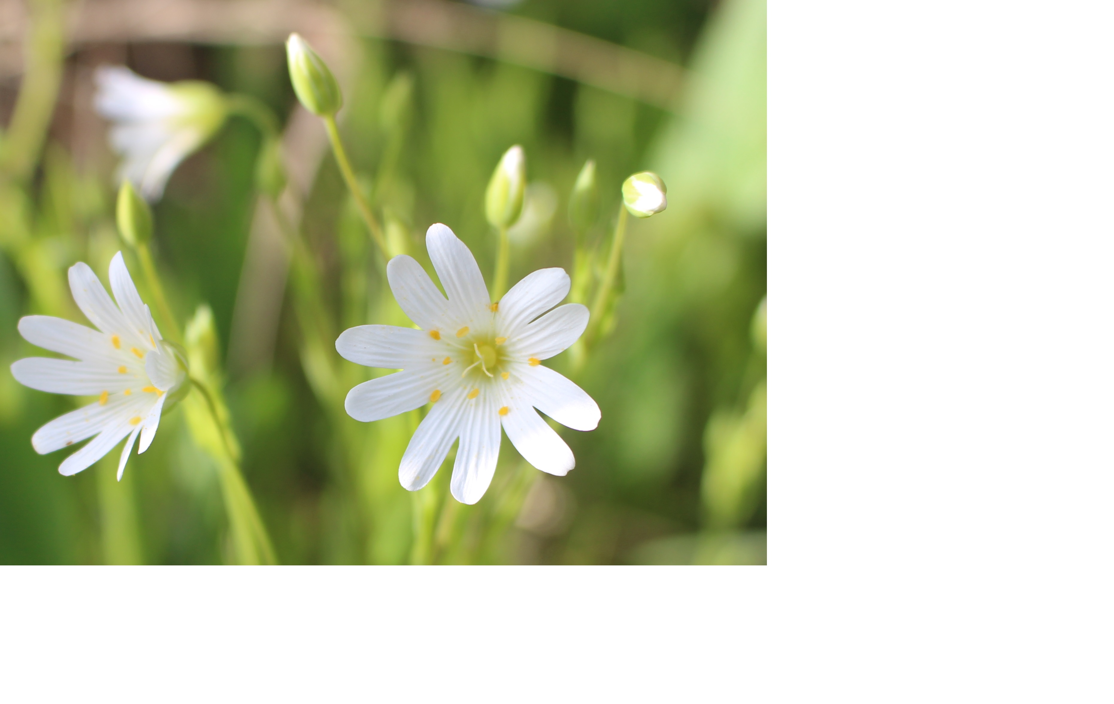 Annexe IMG_3203 ok.jpg