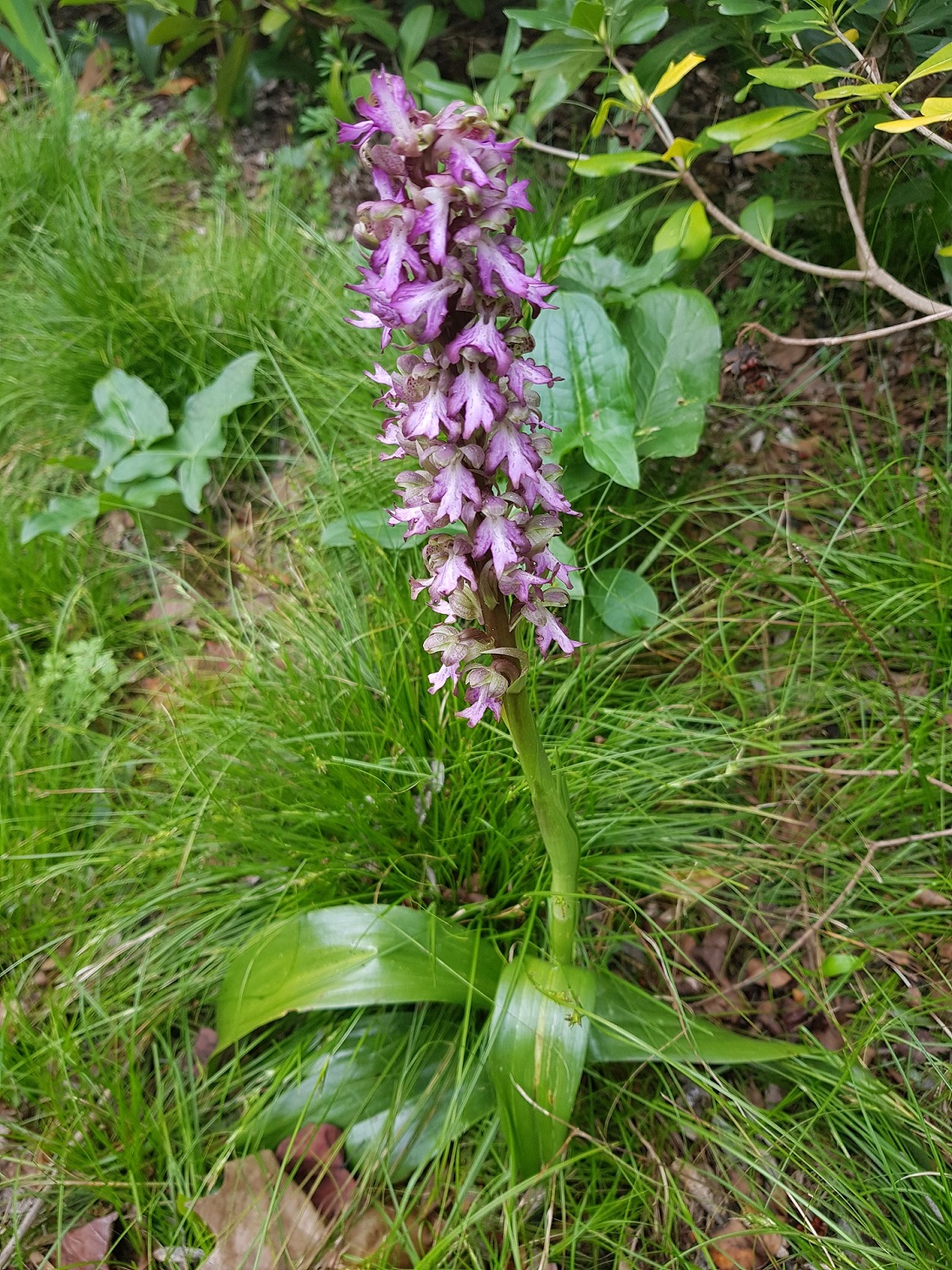 Annexe 20200327_161312_min.jpg