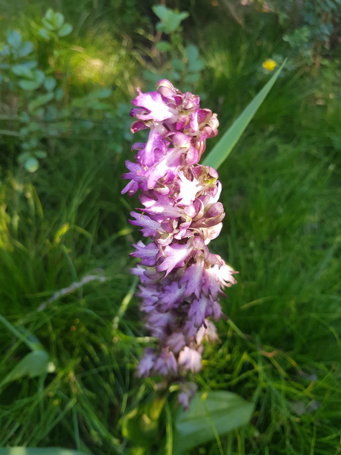 Annexe 20200402_164544_min.jpg