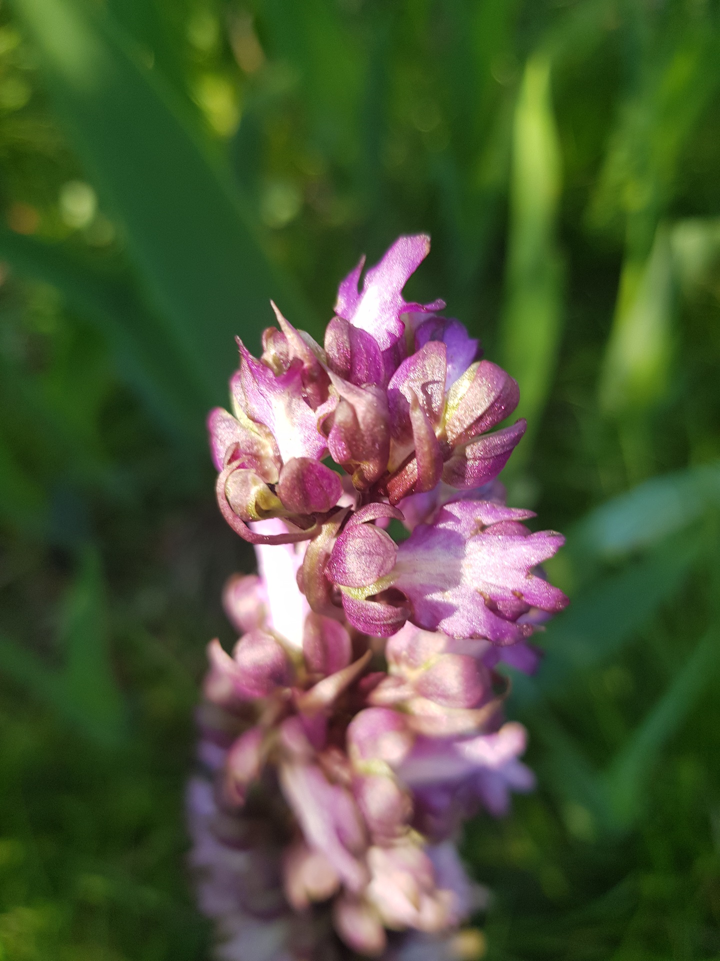 Annexe 20200402_164628_min.jpg