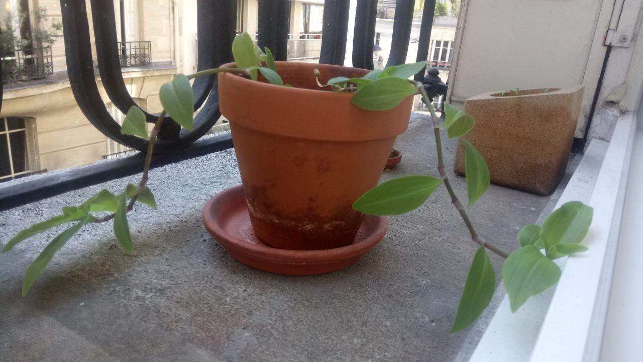 Annexe photo_2020-04-08_12-22-49.jpg