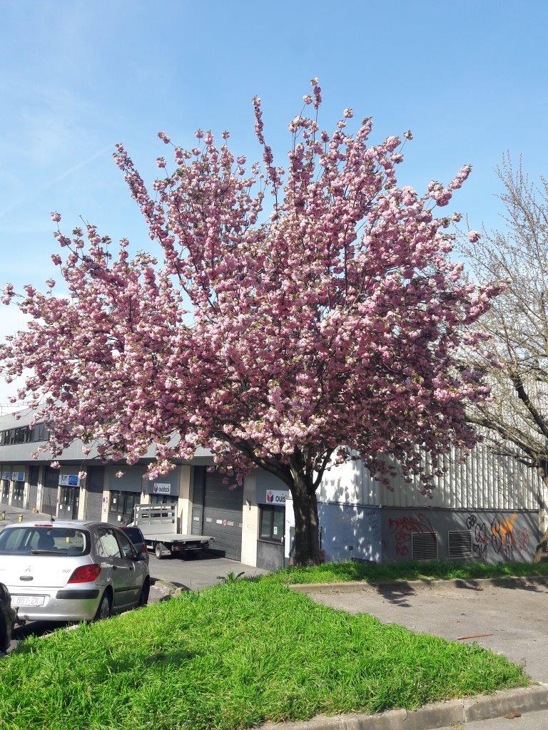 Annexe 20200407_155941.jpg