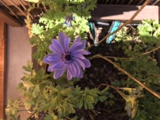 Annexe B97FECF6-8CED-48A8-B0FE-E0000A04C242.jpeg