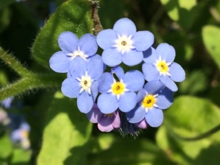 Annexe 0DC58202-8AEC-4EF4-9B92-AF298D83AF36.jpeg