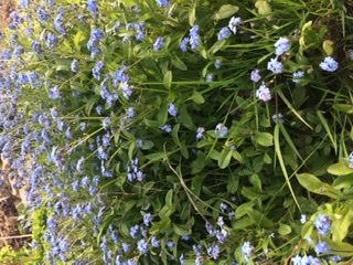 Annexe 1AC544F6-82E4-4412-AD53-B86F3FF6154D.jpeg