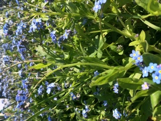 Annexe F81A665E-4F7A-42BC-9AA9-D2DA31FAAE4F.jpeg