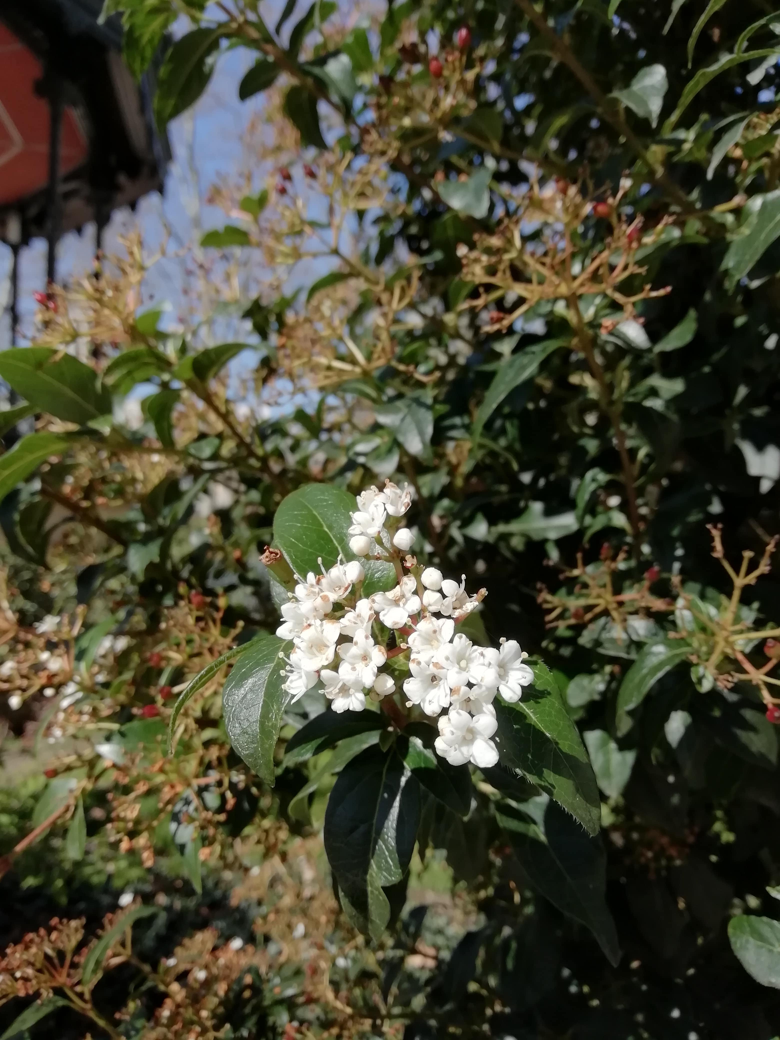 Annexe IMG_20200404_114638-min.jpg