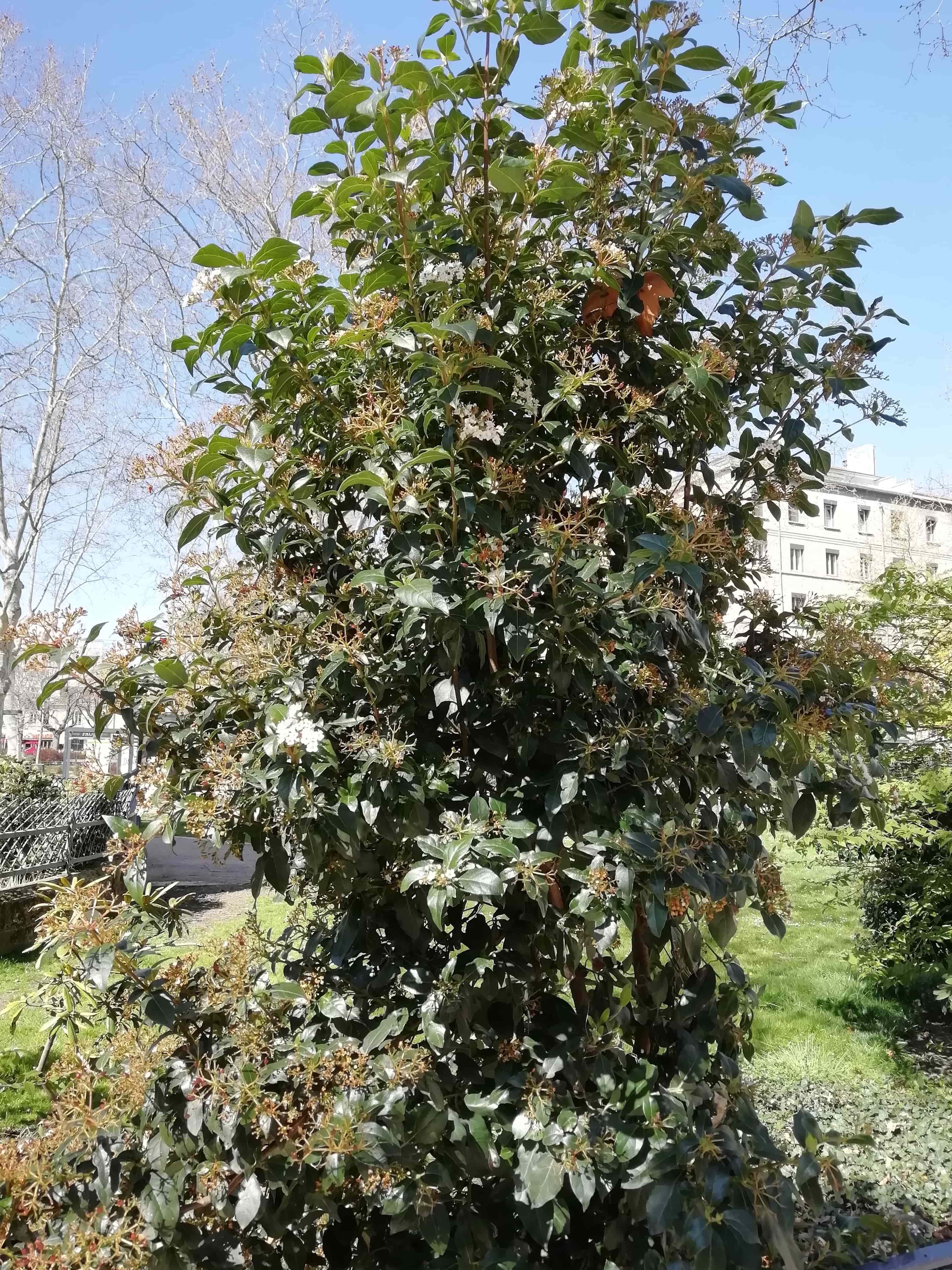 Annexe IMG_20200404_114655-min.jpg