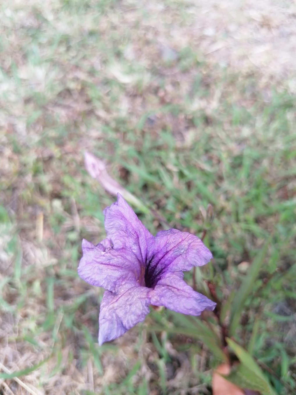 Annexe 1FAC0E06-5BA9-44CD-85A8-7A2393B71E78.jpeg