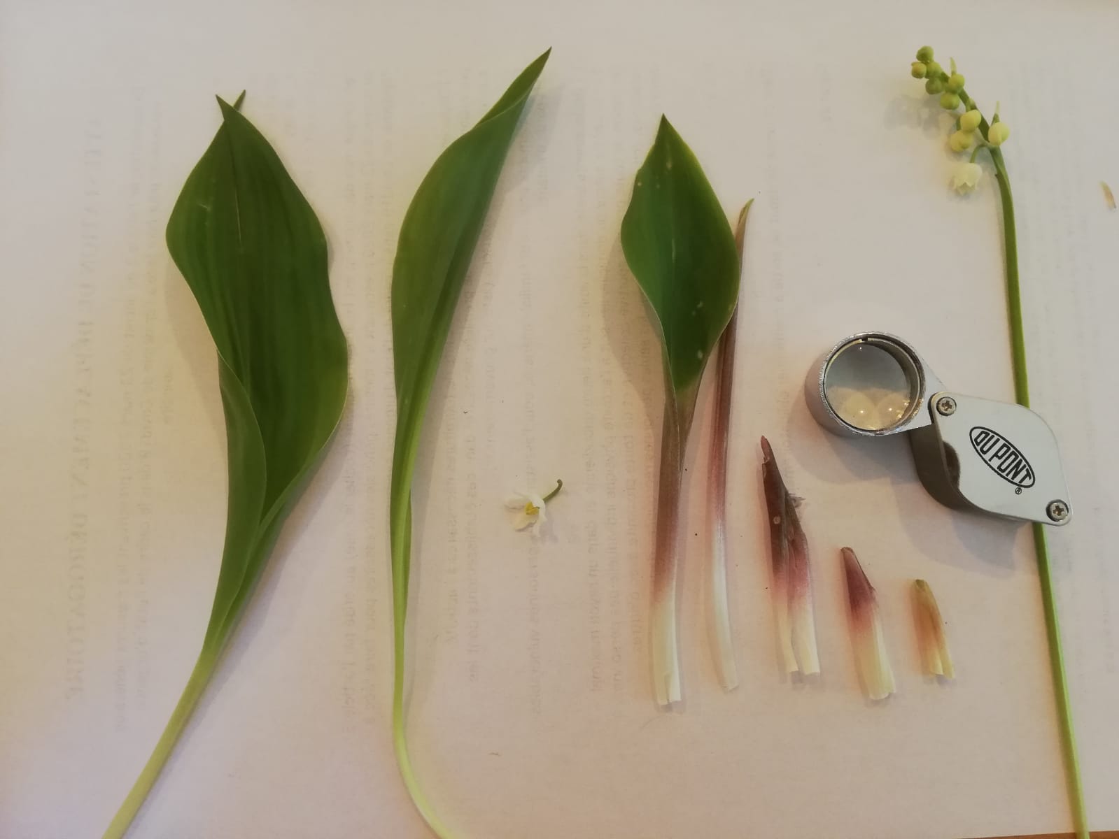 Annexe WhatsApp Image 2020-04-09 at 11.58.05.jpeg