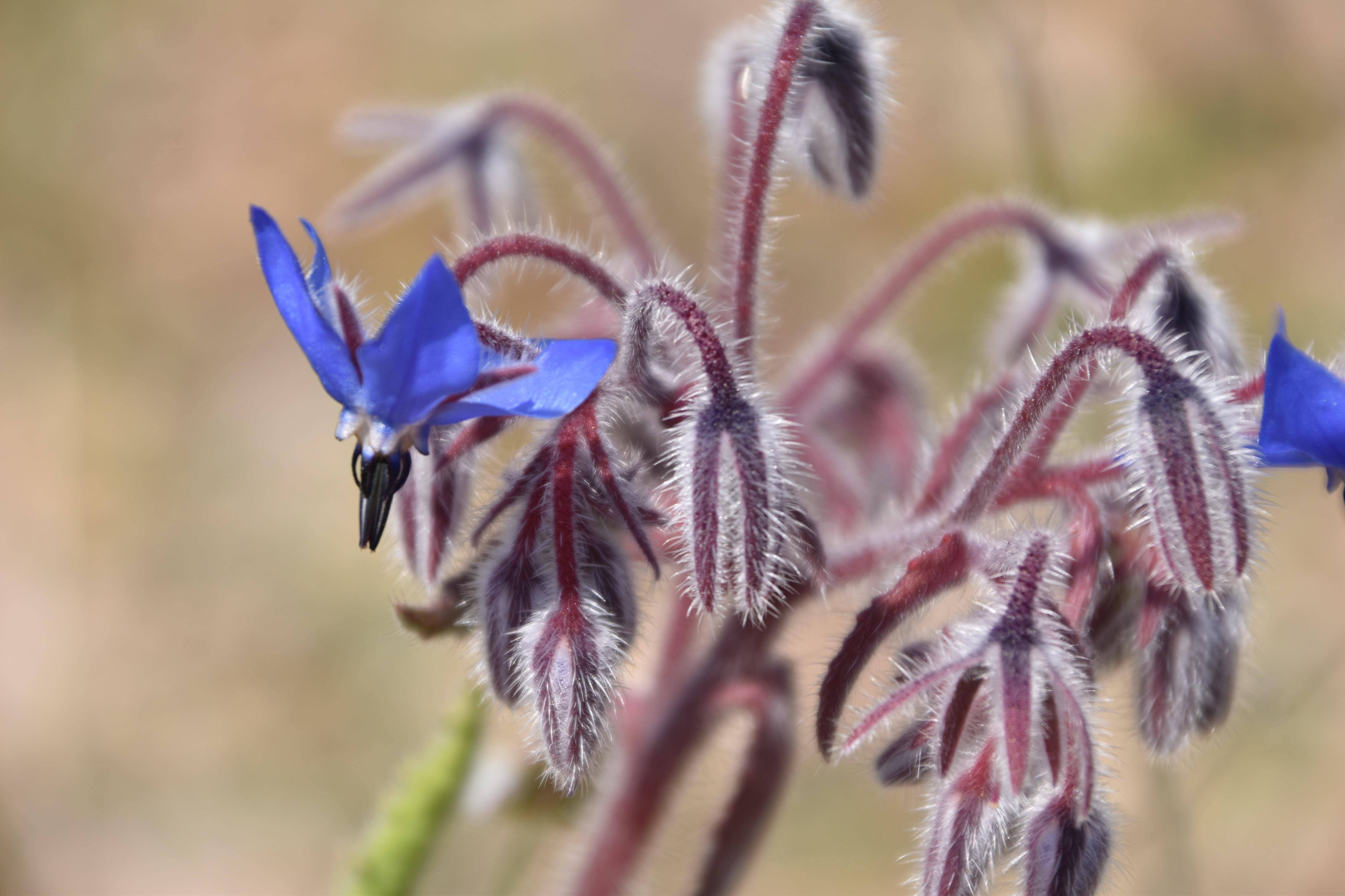 Annexe DSC_0347-min.jpg