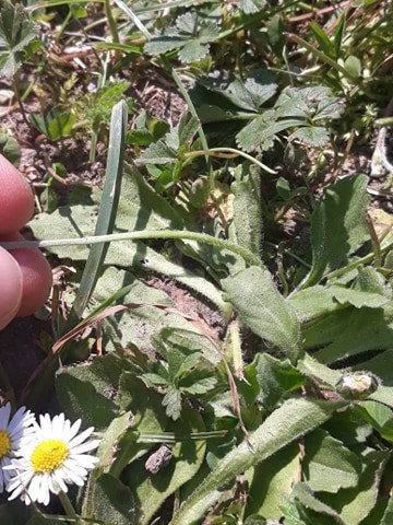 Annexe 92542534_628704927687136_4667636033406369792_n.jpg