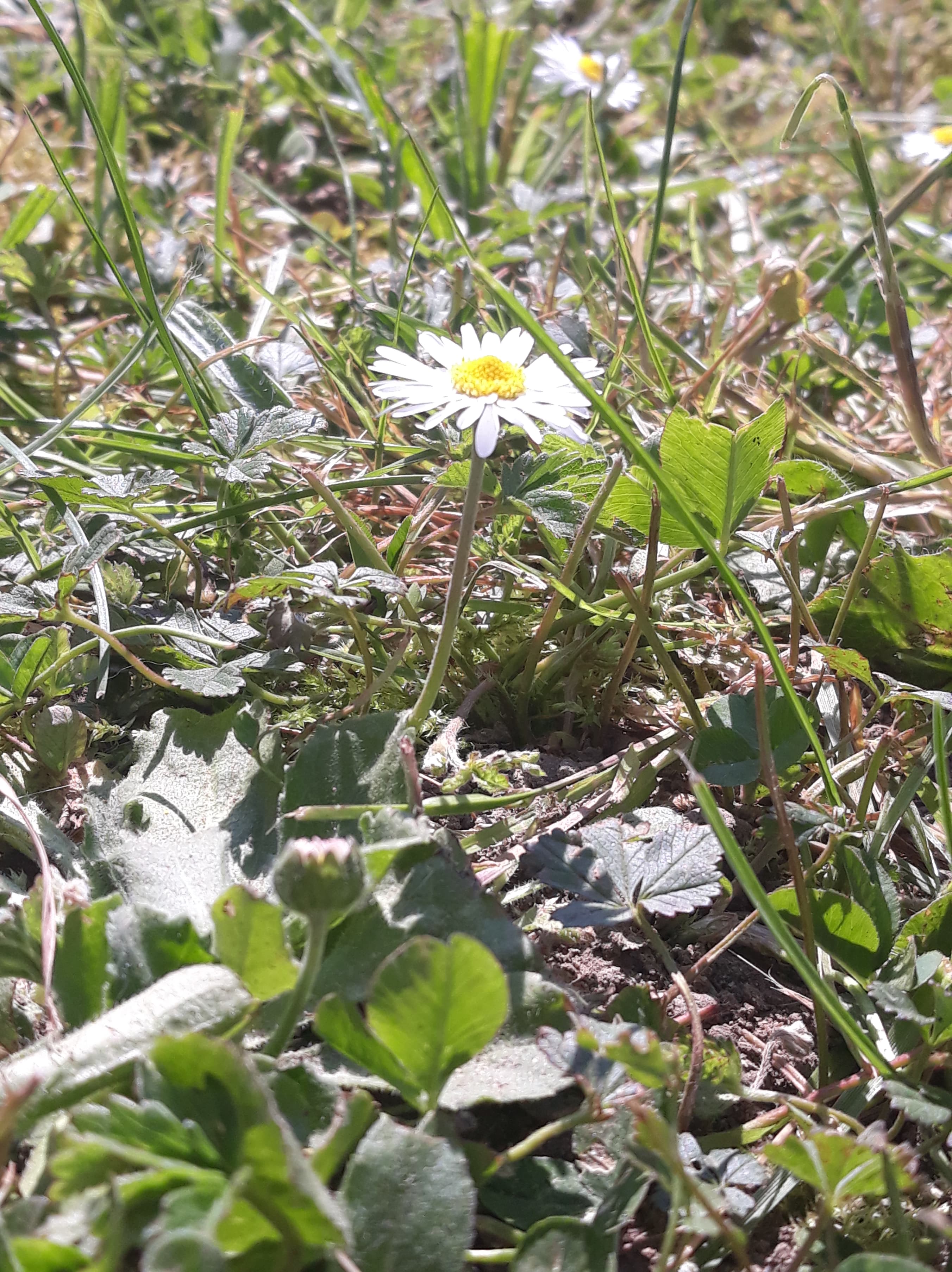 Annexe 92592673_223768345496426_7045442847457148928_n.jpg