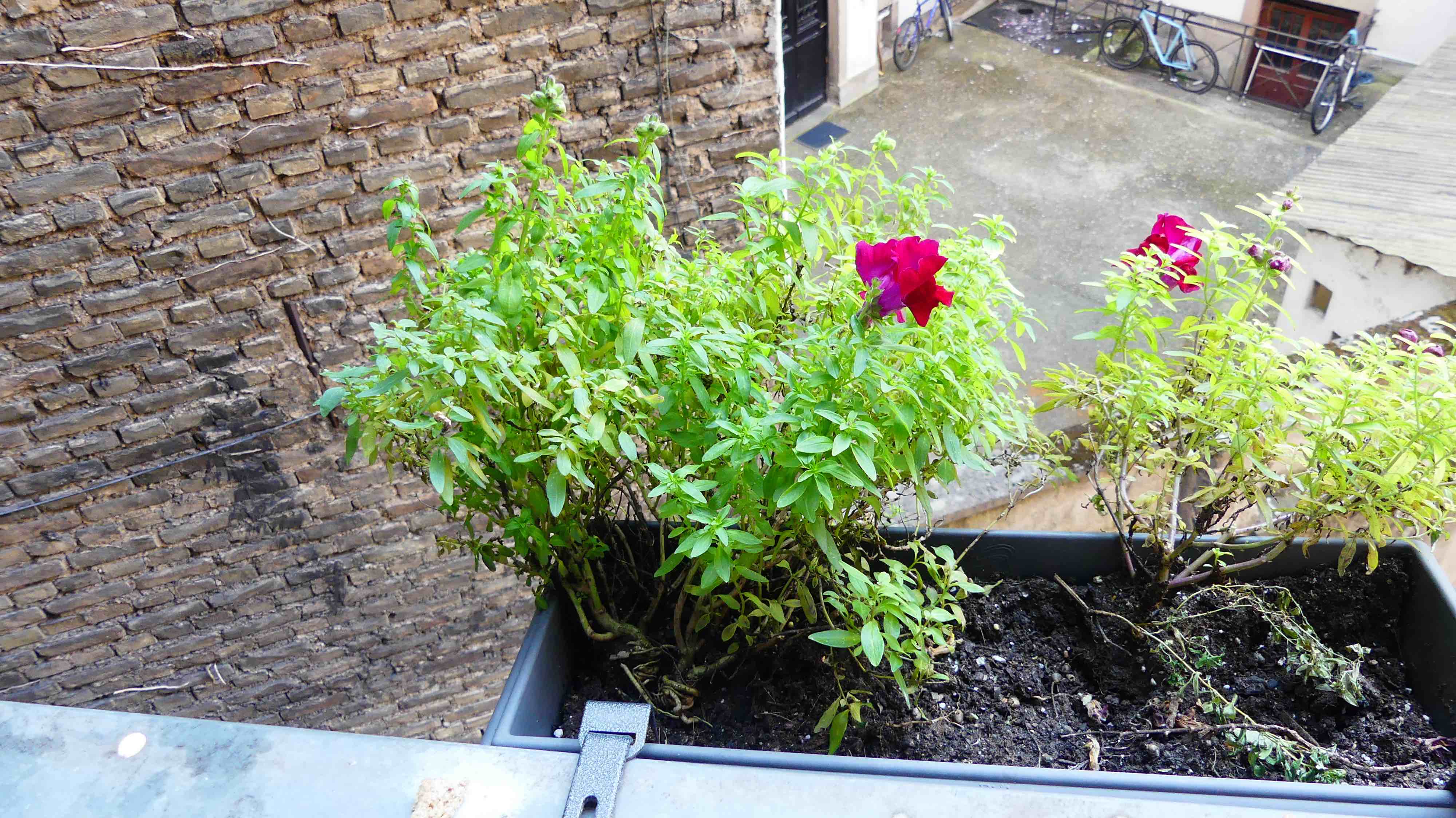 Annexe P1000751 test.jpg