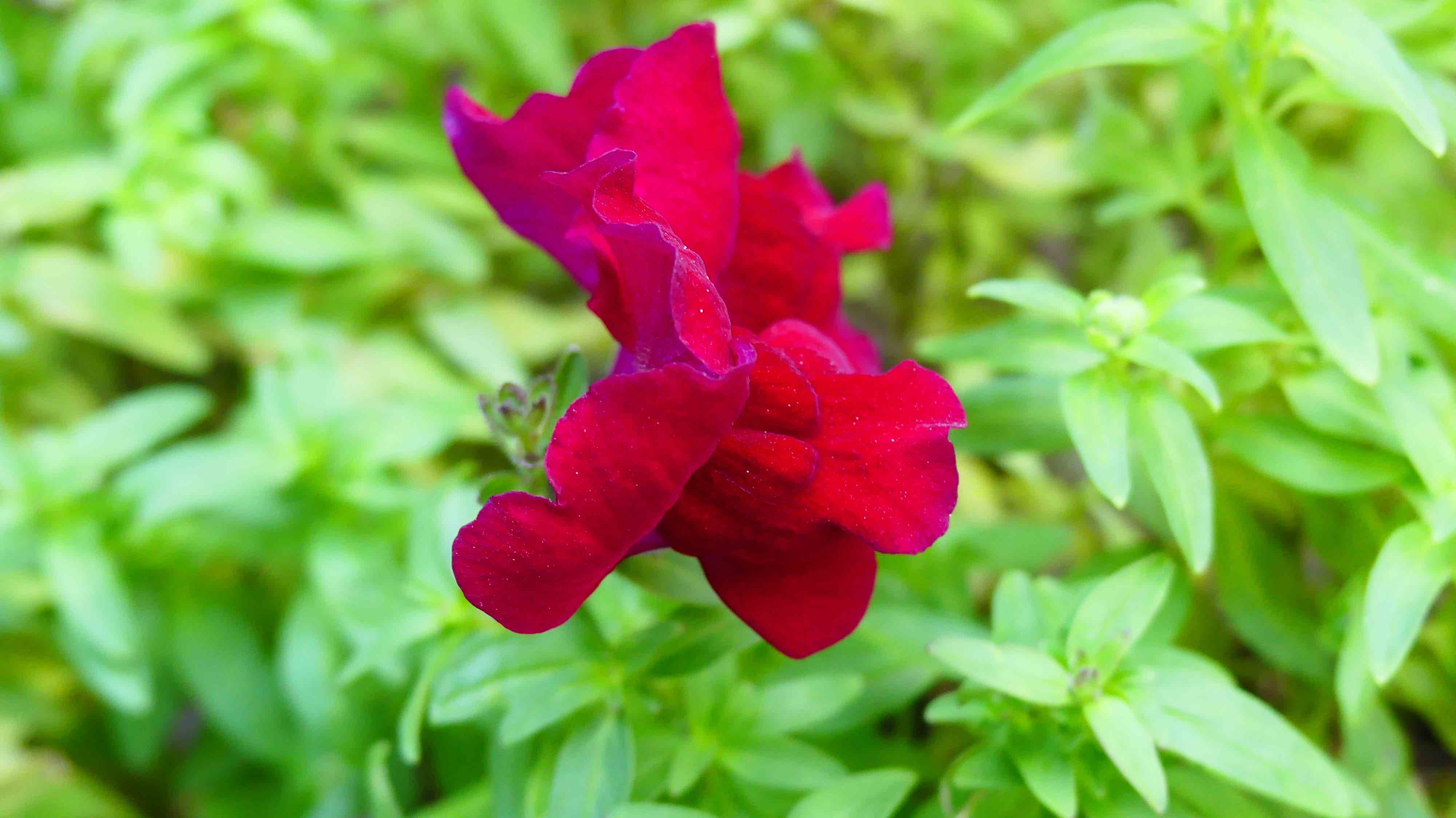 Annexe P1000753 test.jpg