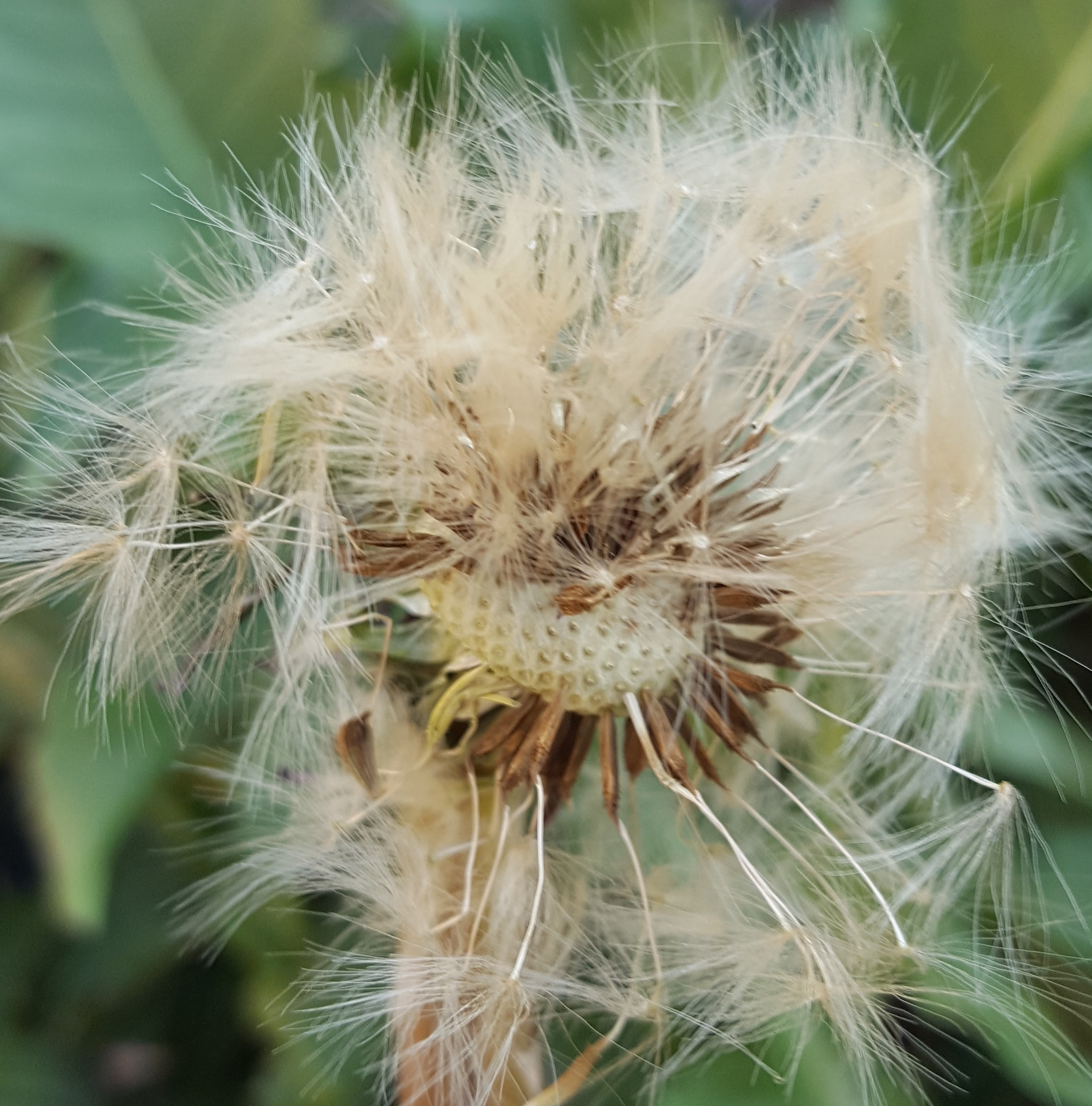 Annexe 20200408_183839.jpg