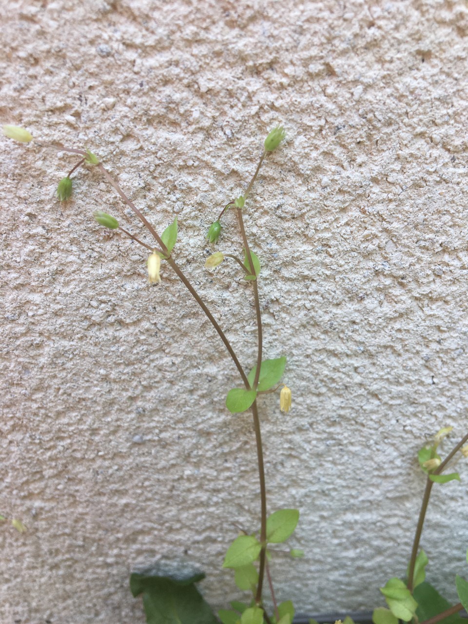 Annexe thumbnail_Image (3).jpg