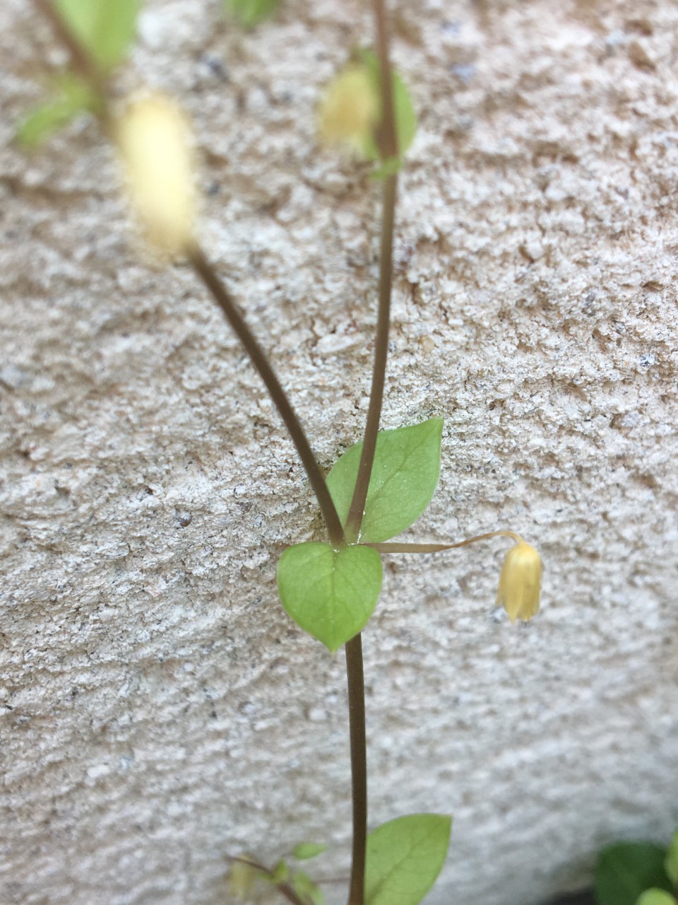 Annexe thumbnail_Image (4).jpg