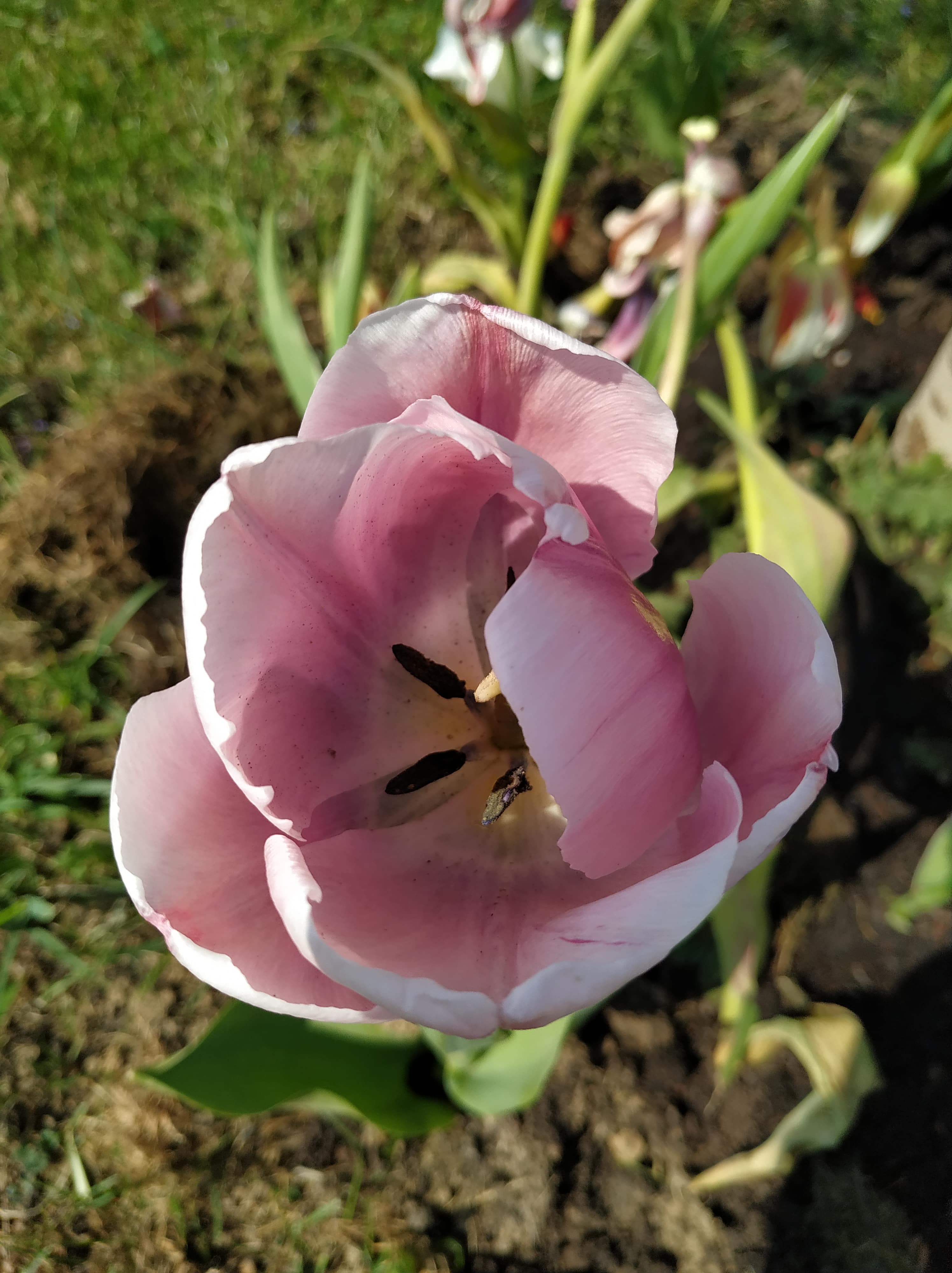 Annexe IMG_20200410_134124-min.jpg