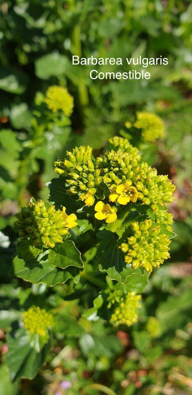 Annexe 903C8288-976B-4434-964D-C75B4AD4ED26.jpeg