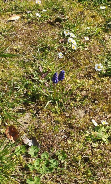 Annexe nb20200404_120520.jpg