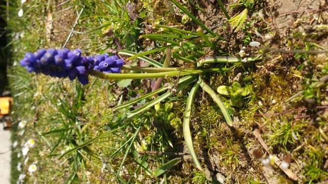 Annexe nn20200404_120542.jpg