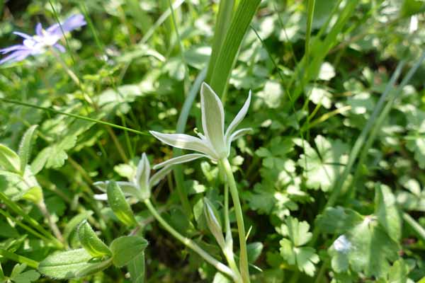 Annexe P1200748a.jpg