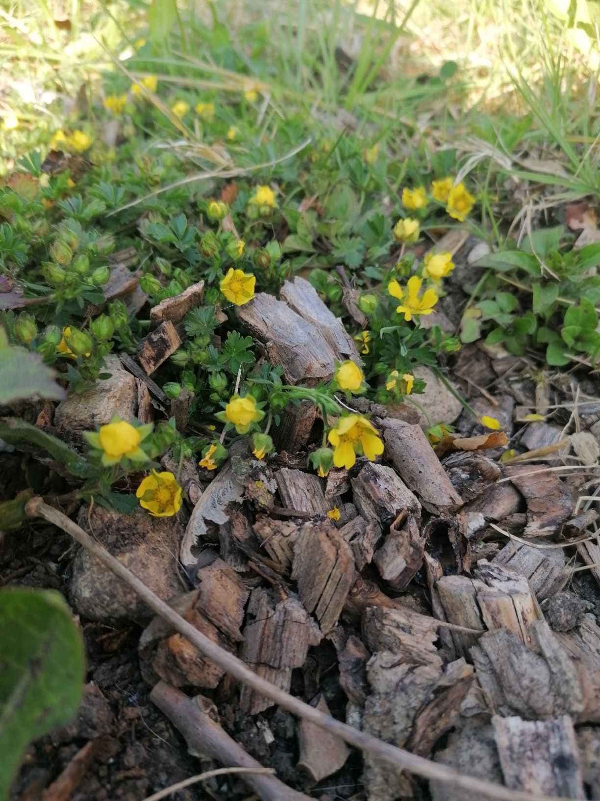 Annexe vue densemble-min.jpg