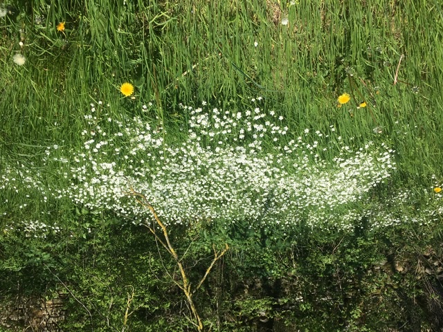 Annexe 1B1CECEE-4829-41CC-9814-1E912761C3D8.jpeg