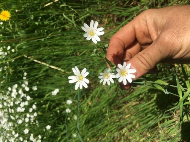 Annexe 8DD48622-D9B2-4397-AB10-6421BA76CD0B.jpeg