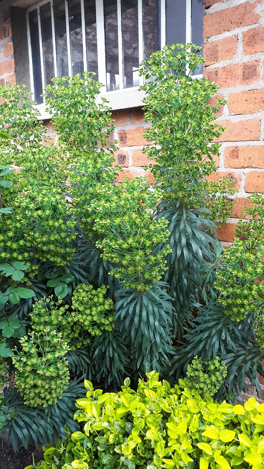 Annexe 20200411_150328.jpg