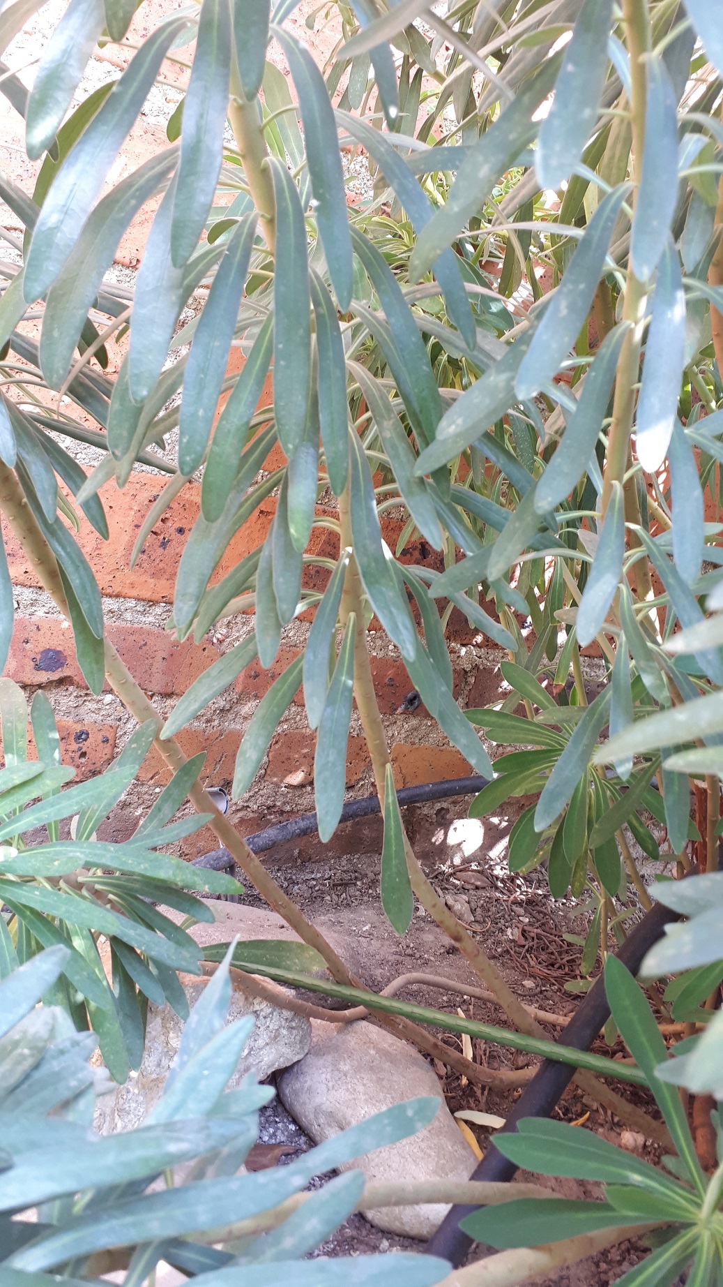 Annexe 20200411_150734.jpg