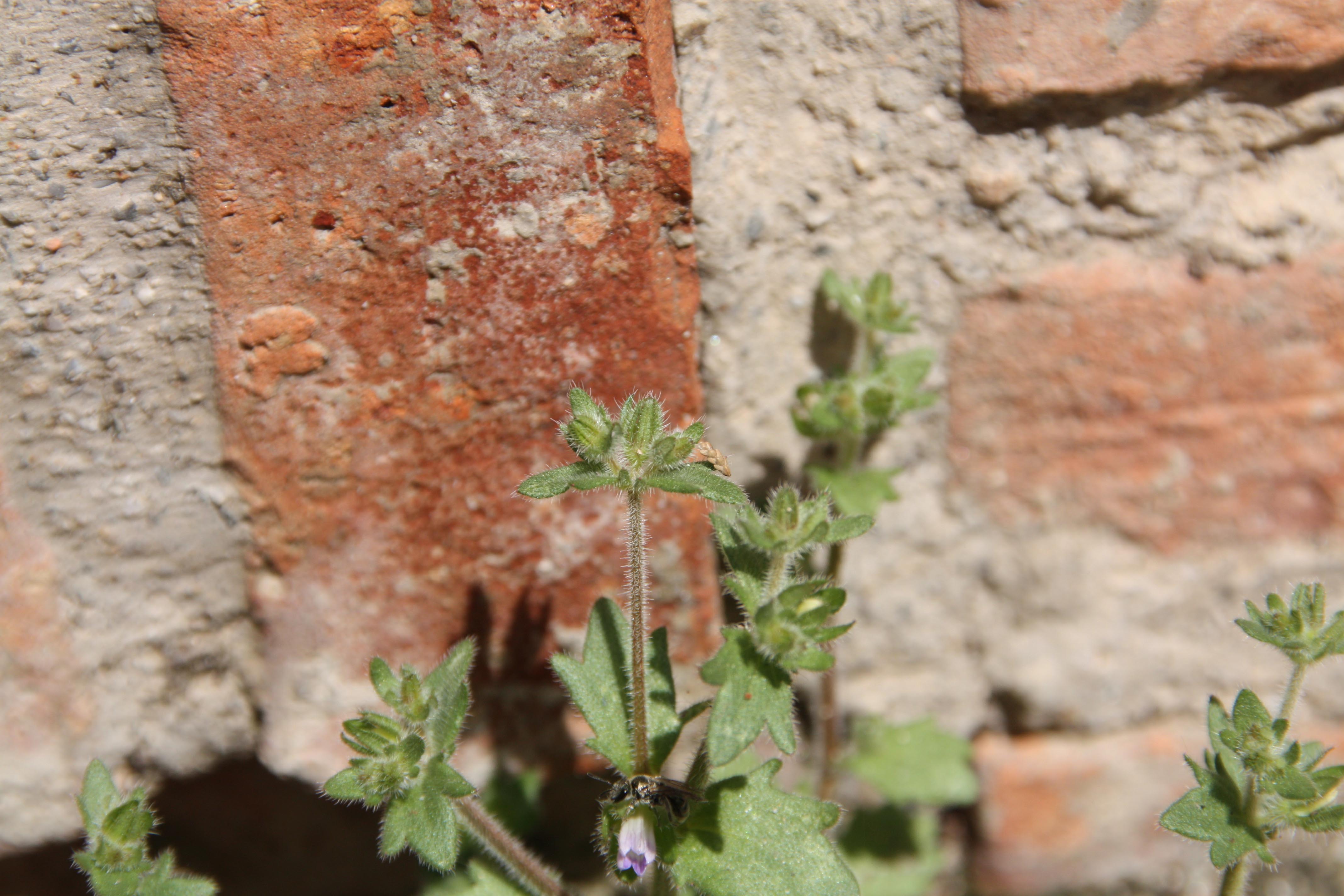 Annexe Sans titre-1.jpg