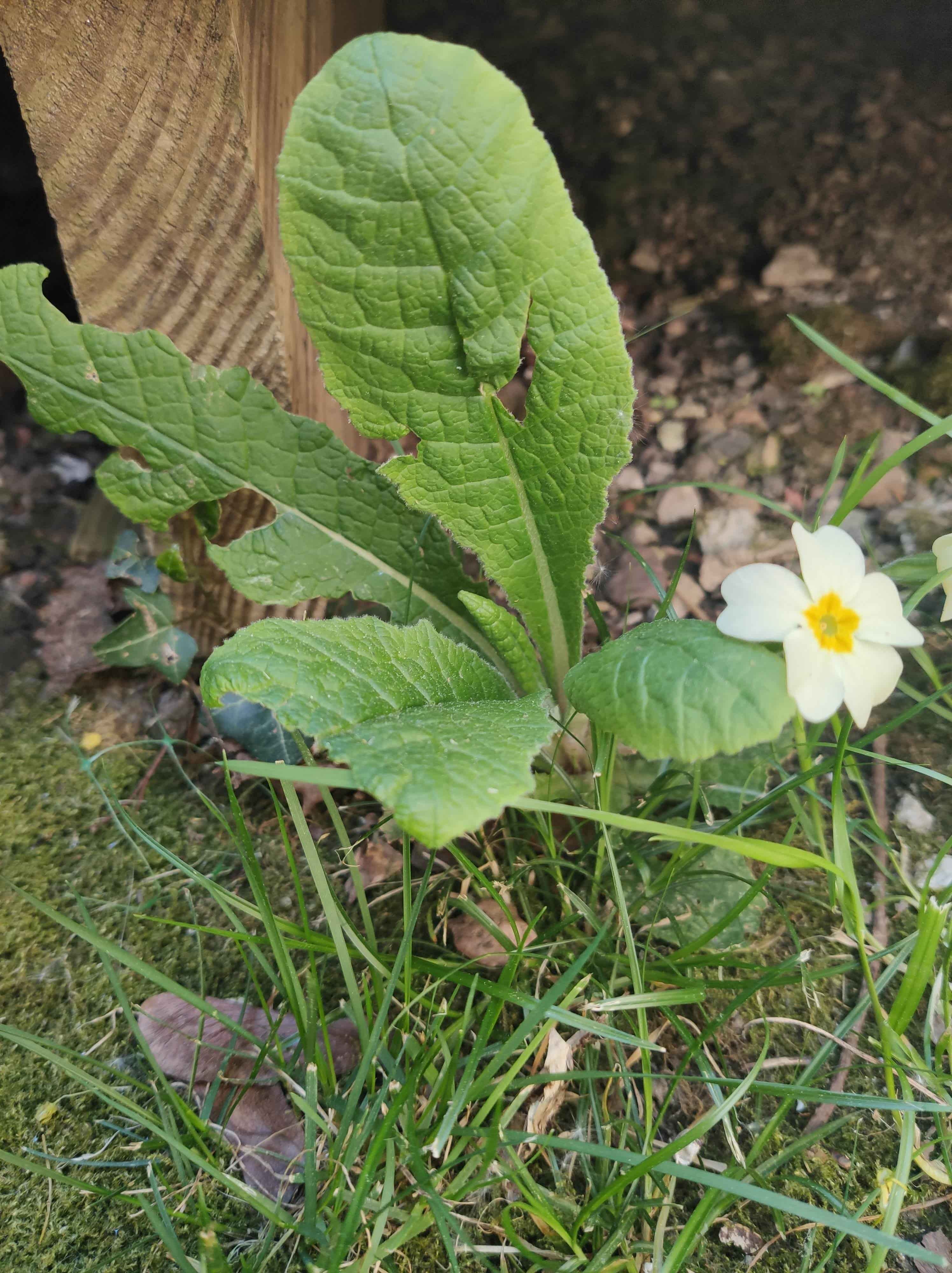 Annexe IMG_20200411_163840-min.jpg