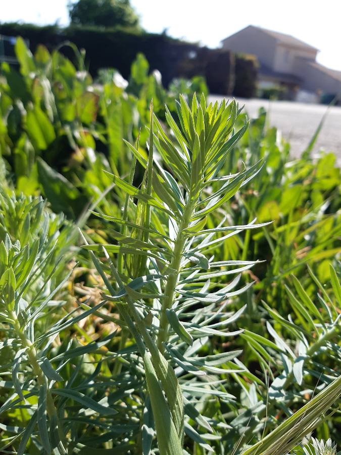 Annexe 1586616793466.JPEG