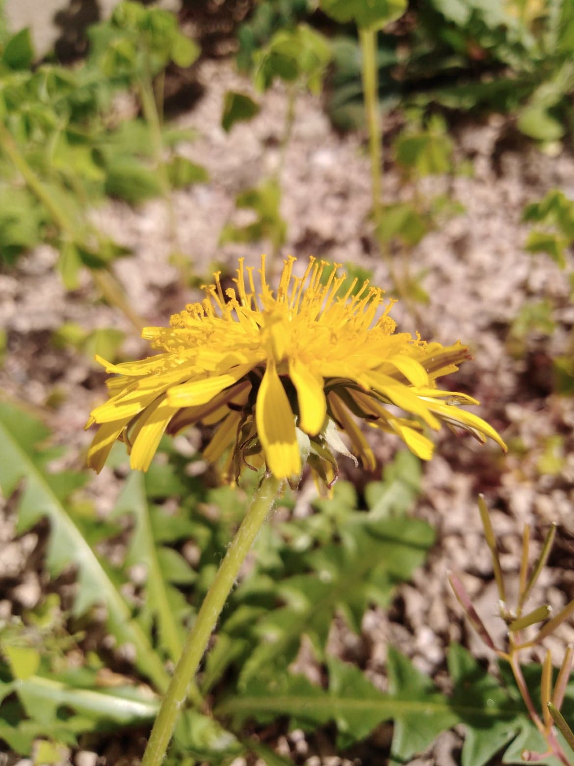 Annexe 92786894_228301021741034_3945510241193426944_n.jpg